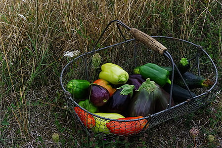 basket of vegetables beside grass thumbnail