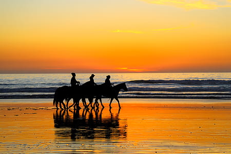 silhouette photography of people riding horses thumbnail