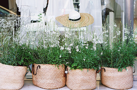 white petaled flowers in basket thumbnail