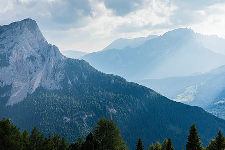mountain field with trees under cloudy sky during daytime thumbnail