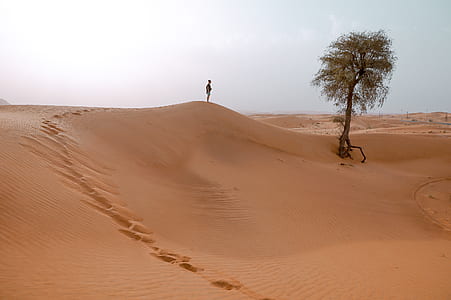 person standing beside tree thumbnail