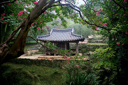 house surrounded by green plants during daytime thumbnail