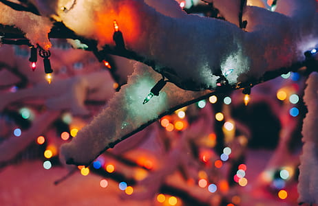 strings lights with snow and bokeh thumbnail