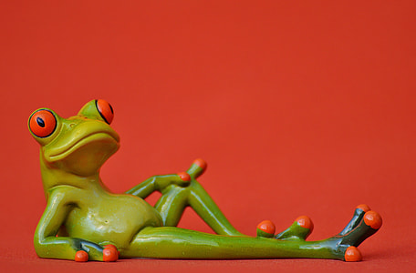 green frog photography thumbnail