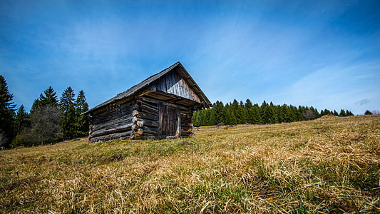 brown and gray wooden shed under clear blue sky thumbnail