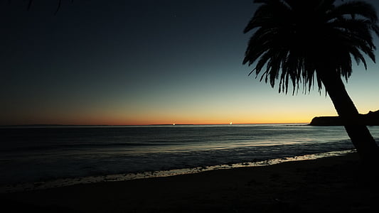silhouette tree bear body of water thumbnail