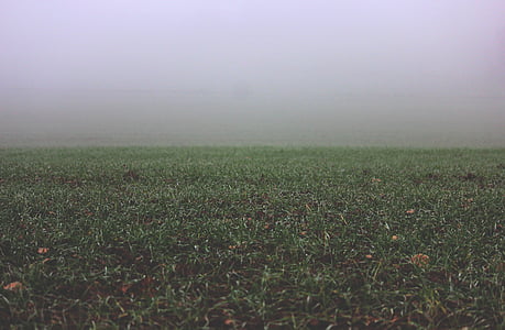 landscape photography of green grass field thumbnail