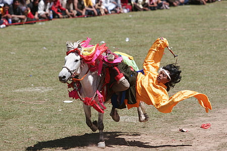 yellow dressed man riding on white horse thumbnail