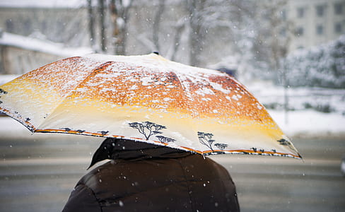 person holding brown umbrella near trees at daytime thumbnail