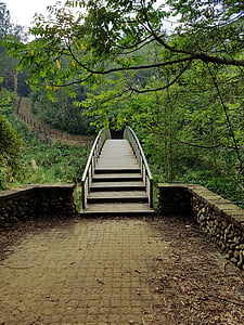 wooden bridge near trees thumbnail