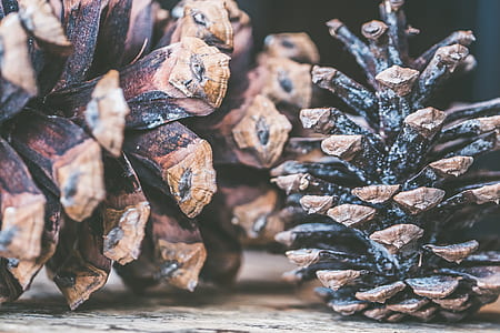 Black and Brown Decor thumbnail