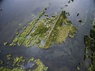 aerial photo of green islet thumbnail
