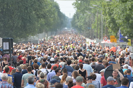 people walking on street during daytime thumbnail