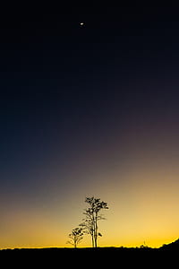view of moon thumbnail