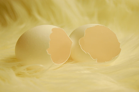 two cracked egg shells thumbnail