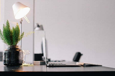 green potted plant near clear glass pot beside MacBook Air during daytime thumbnail