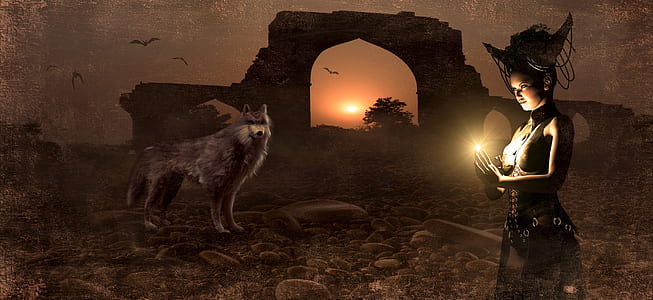 witch standing near wolf poster thumbnail