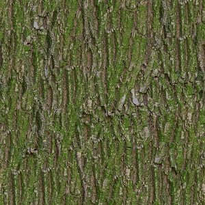 green moss thumbnail