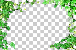 Green, Green leaves frame,Plant Frame, green textile PNG clipart