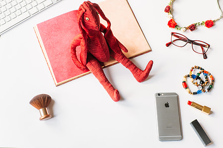 Styled photo with rabbit thumbnail