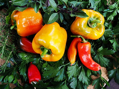 bell peppers on green leaf thumbnail