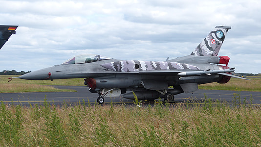 Military, Fighter Aircraft thumbnail