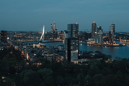 cityscape during nighttime thumbnail