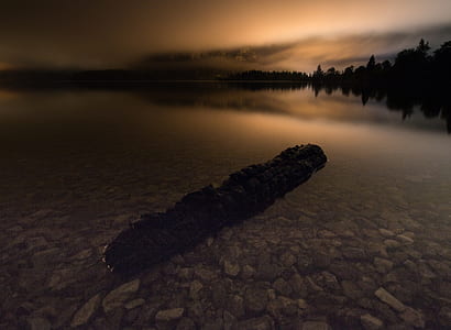 black rock on water near trees at golden hour thumbnail