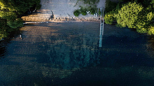body of water surrounded by trees thumbnail