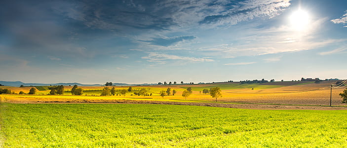 green field near trees under blue sky thumbnail