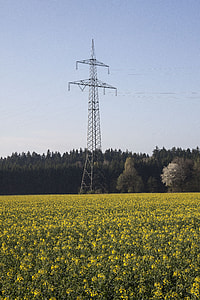 Oilseed Rape, Agricultural Operation thumbnail