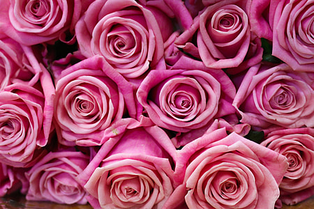 pink flower bouquets thumbnail