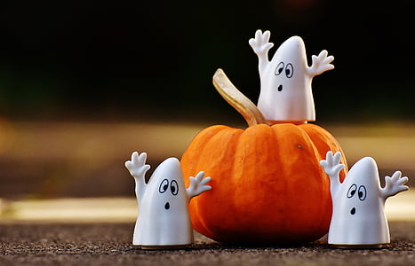 three plastic ghost near pumpkin thumbnail