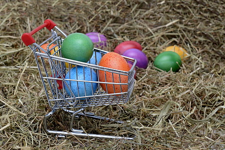 assorted-color Easter eggs thumbnail