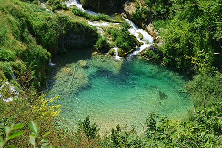 aerial view photography of a body of water surrounded with trees thumbnail