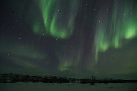 landscape photo of aurora borealis thumbnail