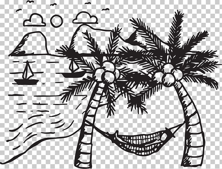 coconut tree arecaceae drawing coconut tree hammock png clipart
