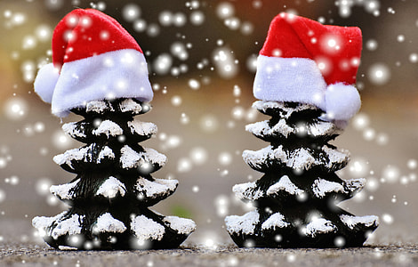 selective focus photography of two Christmas tree miniatures thumbnail