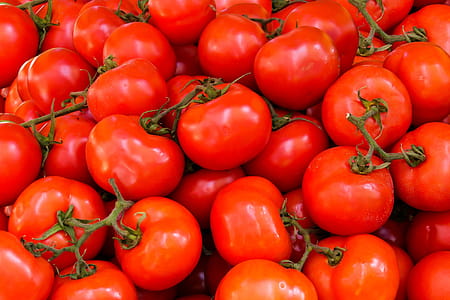 Pile of Red Tomatoes thumbnail