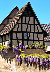 brown and beige house thumbnail