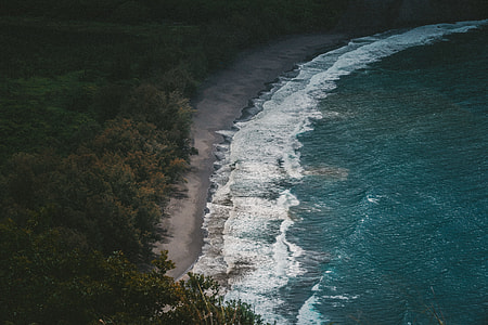 blue and white beach near trees thumbnail
