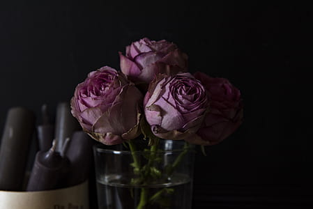 three pink flowers on glass vase thumbnail