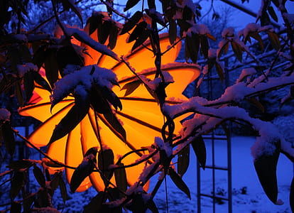 snow covered tree leaves thumbnail