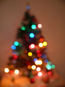 christmas tree, christmas, xmas, lights, winter, holiday thumbnail