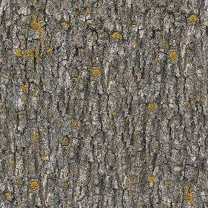 brown tree bark thumbnail