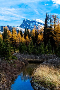body of water thumbnail