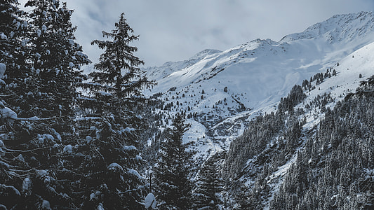 green trees and mountain while snow at daytime thumbnail