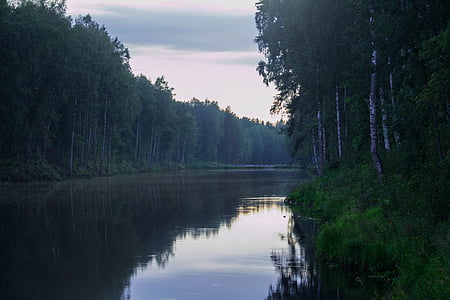 calm water of lake surrounded with trees during daytime thumbnail