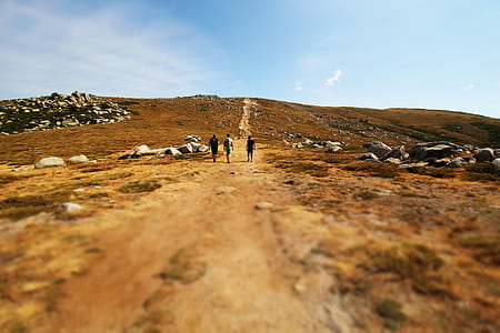 three person standing in middle of desert thumbnail