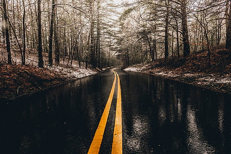 low light photography of road surrounded by trees thumbnail